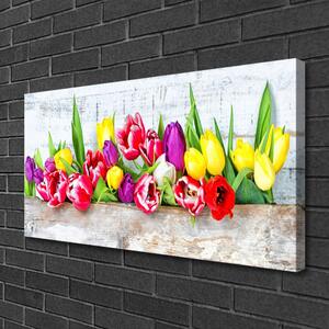Obraz Canvas Tulipány kvety príroda 100x50 cm