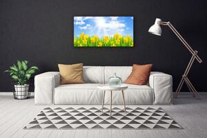 Obraz Canvas Narcisy lúka tráva príroda 100x50 cm