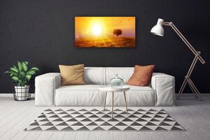 Obraz Canvas Západ slnka lúka plátky 100x50 cm