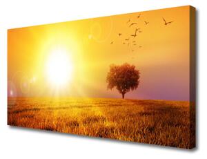 Obraz Canvas Západ slnka lúka plátky 120x60 cm