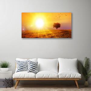 Obraz Canvas Západ slnka lúka plátky 100x50 cm