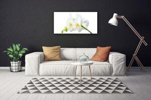 Obraz Canvas Plátky kvet bíla orchidea 100x50 cm