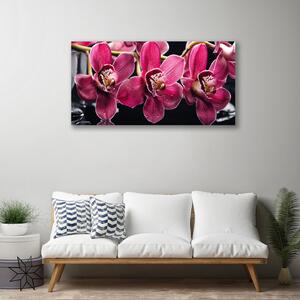 Obraz Canvas Kvety orchidey výhonky príroda 100x50 cm