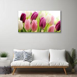 Obraz Canvas Tulipány kvety príroda lúka 100x50 cm