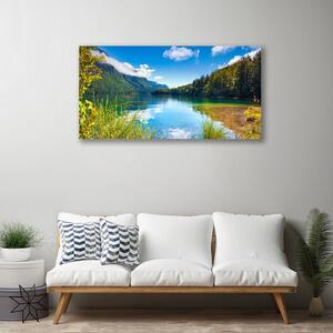 Obraz Canvas Hory les príroda jazero 100x50 cm