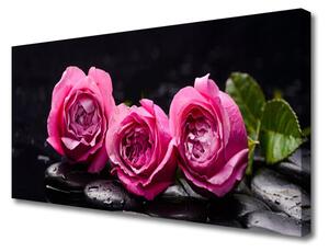 Obraz Canvas Ruže kamene zen kúpele príroda 100x50 cm