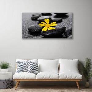 Obraz Canvas Kvet kamene rastlina kúpele 100x50 cm