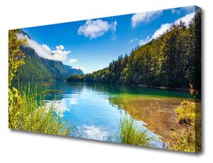 Obraz Canvas Hory les príroda jazero 100x50 cm