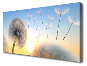 Obraz Canvas Púpava kvety 100x50 cm