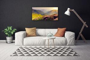 Obraz Canvas Hora lúka krajina 100x50 cm