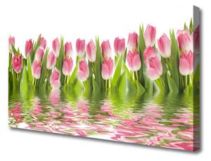 Obraz Canvas Tulipány rastlina príroda 100x50 cm