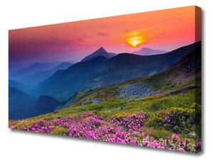 Obraz Canvas Hory lúka kvety príroda 100x50 cm