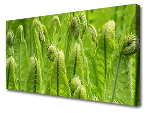 Obraz Canvas Rastlina príroda 100x50 cm