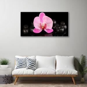 Obraz Canvas Kvet kamene rastlina 100x50 cm