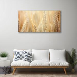 Obraz Canvas Pšenica rastlina príroda 100x50 cm