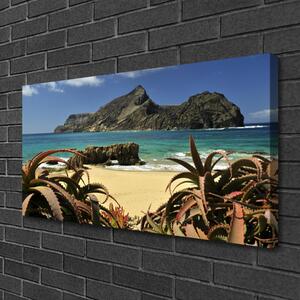 Obraz Canvas Pláž more skala príroda 100x50 cm