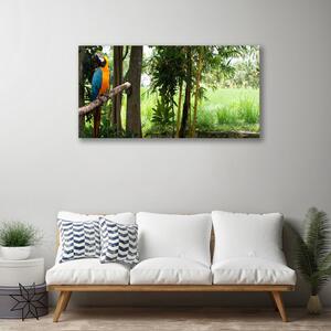 Obraz Canvas Papagáj stromy príroda 100x50 cm