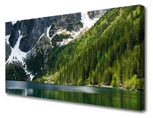 Obraz Canvas Jazero les hory príroda 100x50 cm