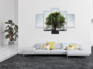 Obraz - Osamotený strom (150x105 cm)