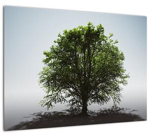 Obraz - Osamotený strom (70x50 cm)