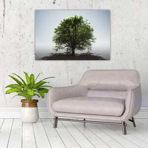 Obraz - Osamotený strom (90x60 cm)
