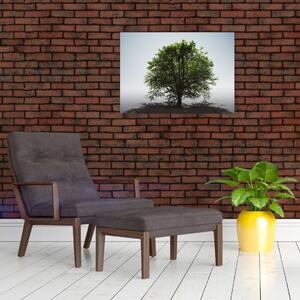 Obraz - Osamotený strom (70x50 cm)