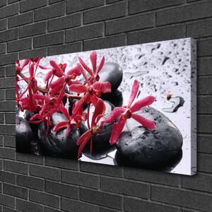 Obraz Canvas Kvet kamene umenie 100x50 cm