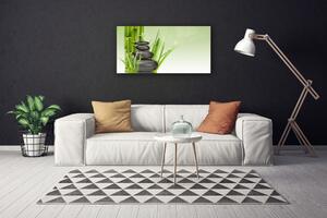 Obraz Canvas Bambus tráva rastlina príroda 100x50 cm