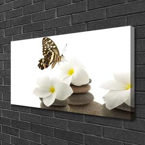 Obraz Canvas Motýľ kvet kamene rastlina 100x50 cm