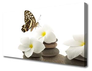 Obraz Canvas Motýľ kvet kamene rastlina 140x70 cm