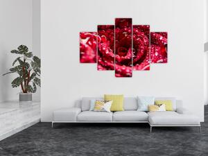Obraz kvetu červenej ruže (150x105 cm)