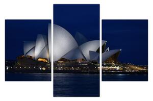 Obraz nočného Sydney (90x60 cm)