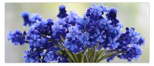 Obraz kytice modrých kvetov (120x50 cm)
