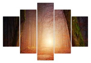 Obraz jesenného lesa v hmle (150x105 cm)