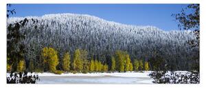 Obraz - zasnežené hory v zime (120x50 cm)