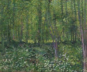 Obrazová reprodukcia Trees and Undergrowth, 1887, Vincent van Gogh