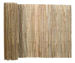 Bambusový plot 200 cm x 500 cm
