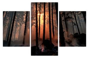 Obraz temného lesa (90x60 cm)