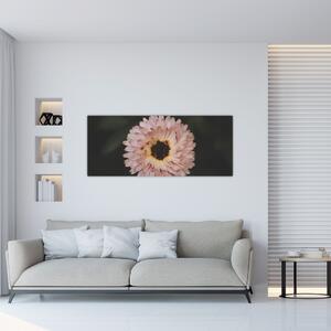 Obraz oranžovej kvetiny (120x50 cm)