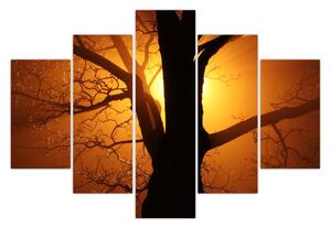 Obraz stromu pri západe slnka (150x105 cm)