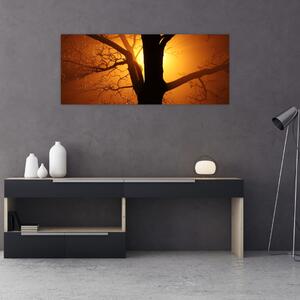 Obraz stromu pri západe slnka (120x50 cm)