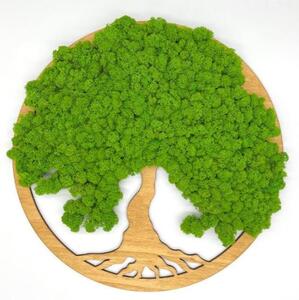 Strom na stenu z machu Melusine 50 cm (Dizajnové machové dekorácie)
