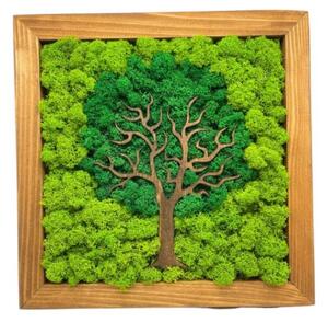 Machový obraz Strom 25x25 cm (Dizajnové machové dekorácie)