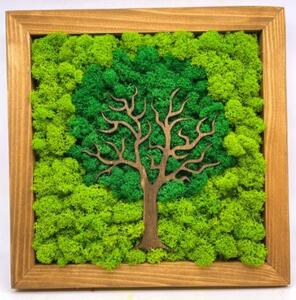 Machový obraz Strom 25x25 cm (Dizajnové machové dekorácie)