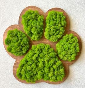 Machový obraz Labka 30 cm (Dizajnové machové dekorácie)