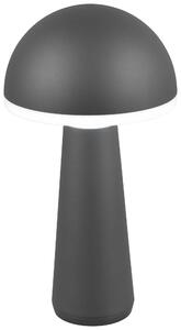 VONKAJŠIE LED SVIETIDLO, 16/31 cm - Interiérové svietidlá