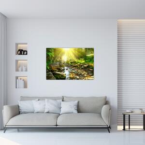 Obraz rieky v zelenom lese (90x60 cm)