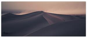 Obraz - Piesočné duny (120x50 cm)