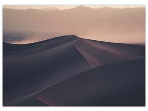 Obraz - Piesočné duny (70x50 cm)