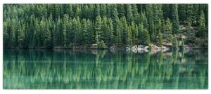 Obraz - Ihličnany pri jazere (120x50 cm)